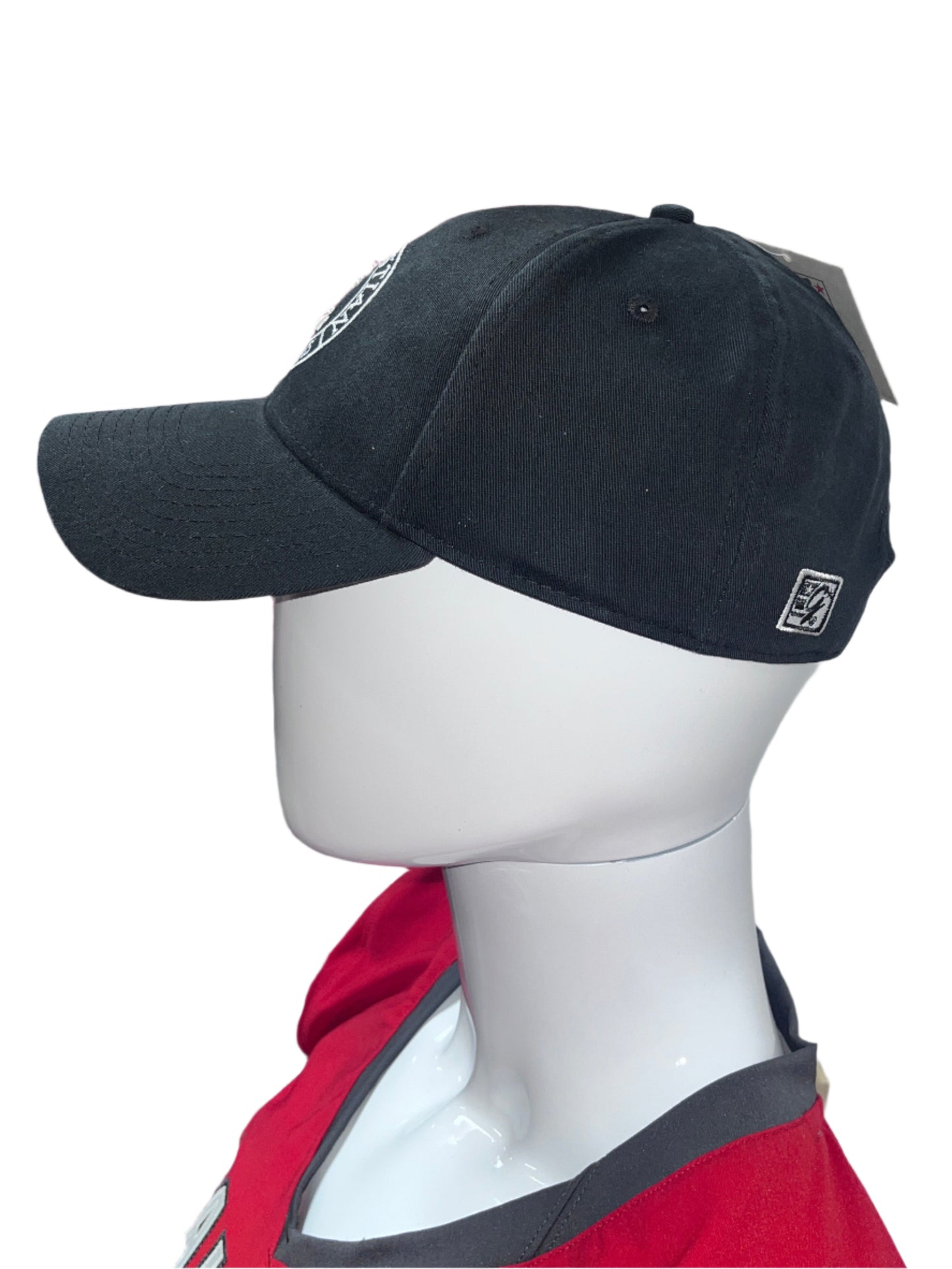 Low Profile Black LCS Hat